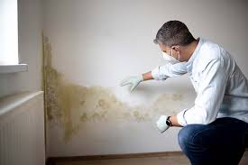 Forensic Mold Investigation in Saddle Rock, NY